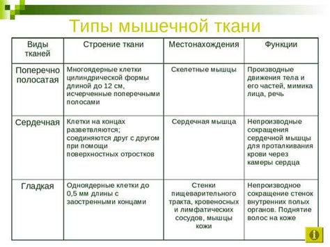 Ткань ламинат: свойства и особенности