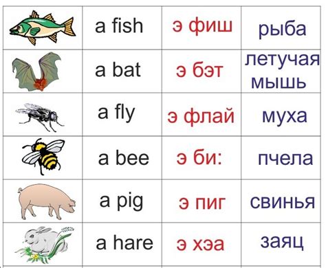 Толкование слова андерстенд на английском