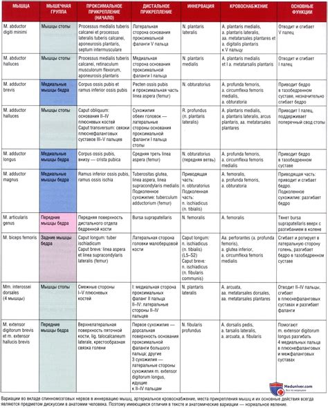 Толкование снов о повреждении нижней конечности: смыслы и интерпретации