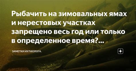 Только в определенное время года