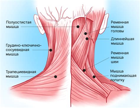 Травма головы и шеи