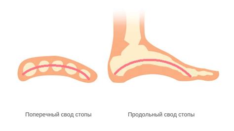 Травмы и перегрузки стоп