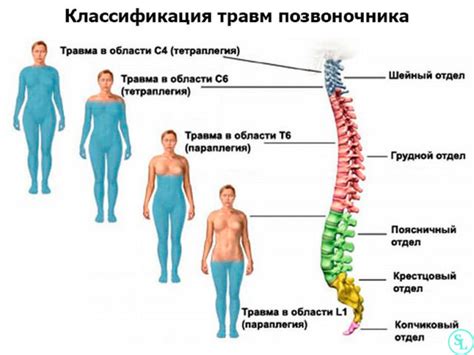 Травмы и повреждения позвоночника