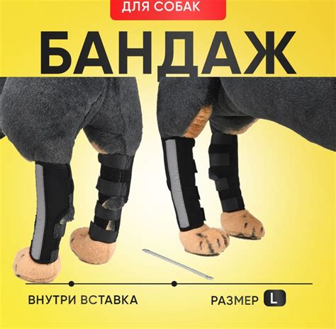 Травмы и следствия для собаки-атакующей