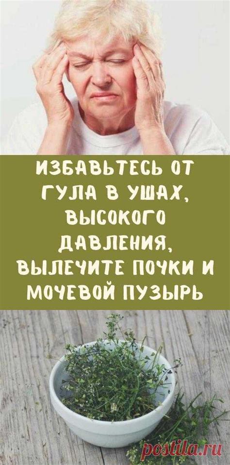 Травяные настойки для устранения гула в ушах