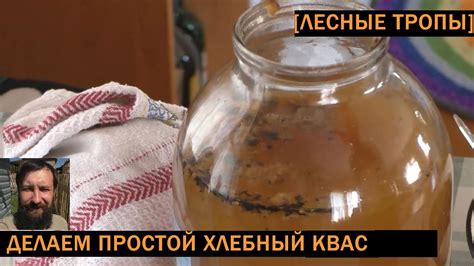 Традиционные способы забродки кваса в разных регионах