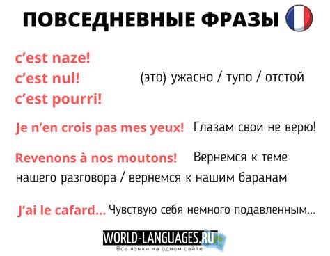 Традиционные фразы благодарности на французском языке