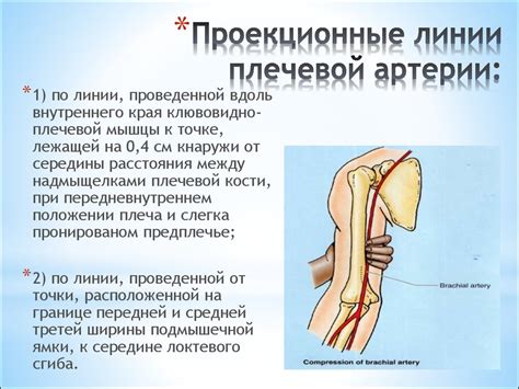 Трактовки сна о продолговатом клинке на верхней конечности