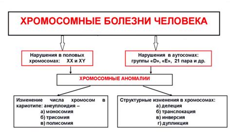 Транслокация хромосом: симптомы, причины и лечение