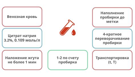 Транспортировка крови в мозг