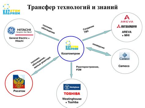 Трансфер включен: что это означает?