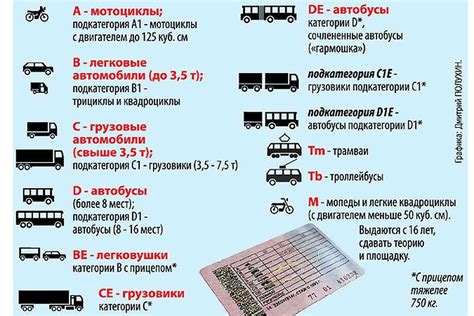 Требования для получения лицензии водителя 1 категории