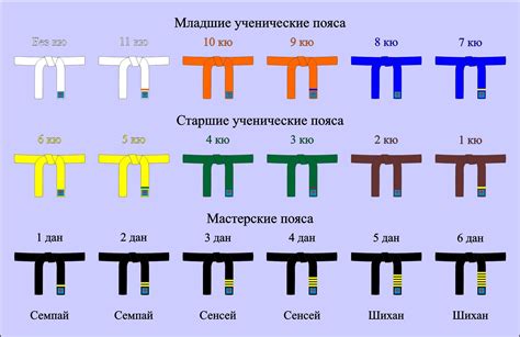 Требования и достижения для получения желтого пояса в каратэ