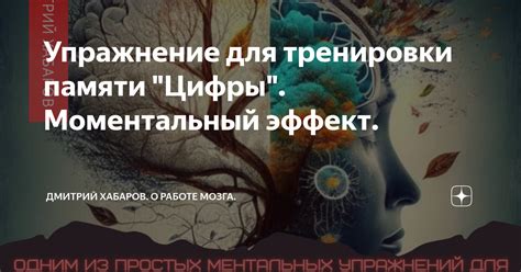 Тренировки для улучшения памяти компьютерного номера эйвон