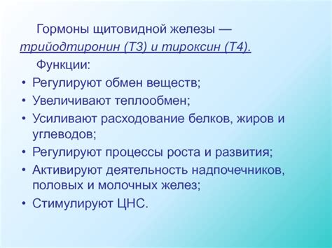 Трийодтиронин (ТТ3): функции и влияние на обмен веществ