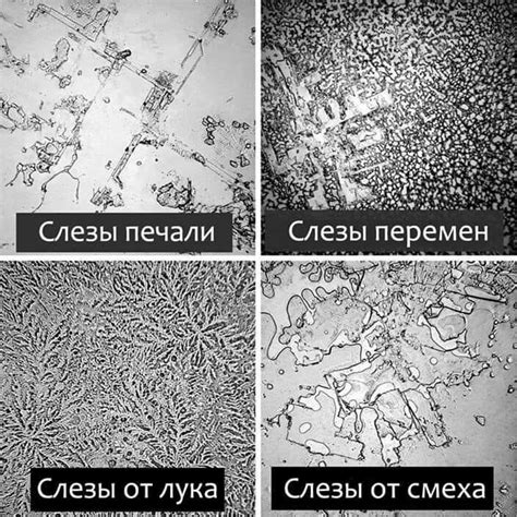 Три типа слез и их значение