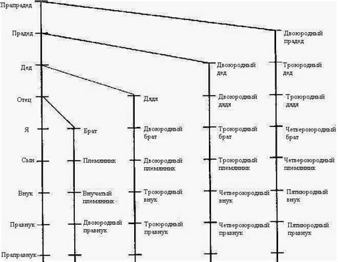 Троюродный брат первой ступени