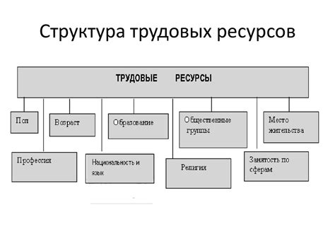 Трудовые ресурсы: ключевые элементы процесса производства