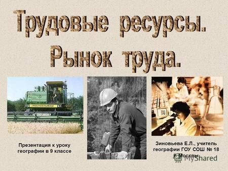 Трудовые ресурсы как объект экономики