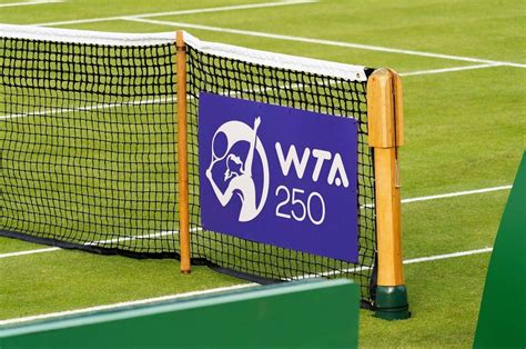 Турниры WTA 250: колоссальная значимость мирового женского тенниса