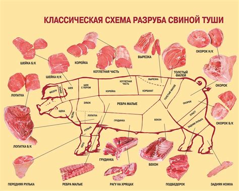 Тушка свиного мяса сырым – символ возможностей и потенциала