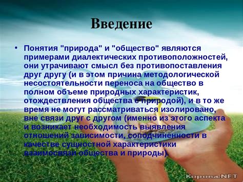 Тюрьма и общество: взаимосвязь и последствия