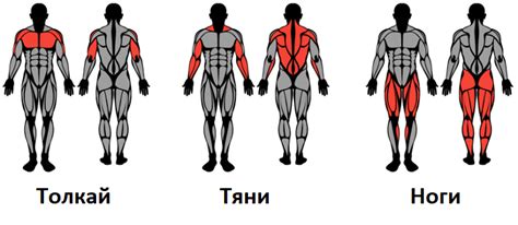 Тяни толкай: основные понятия