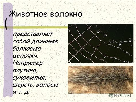 Тёмное волокно: что оно представляет собой?