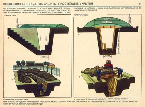 Убежища и укрытия в лесном мире