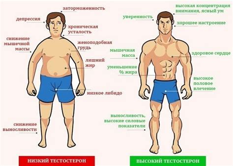 Увеличенный уровень тестостерона у мужчин: причины и влияние