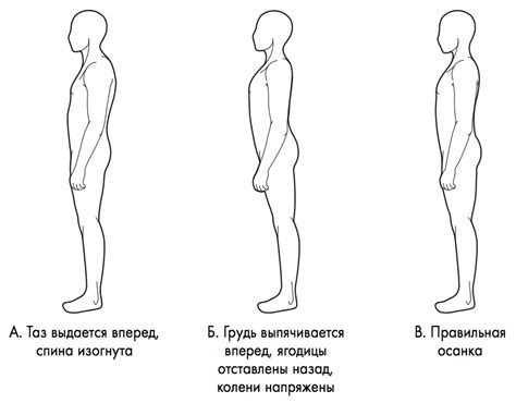 Уверенность и осанка