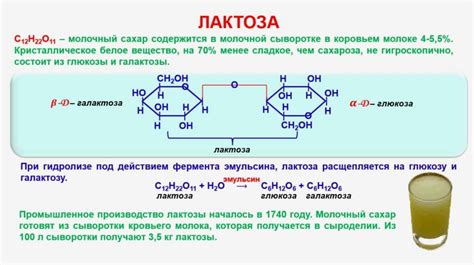 Углеводы: общее понятие