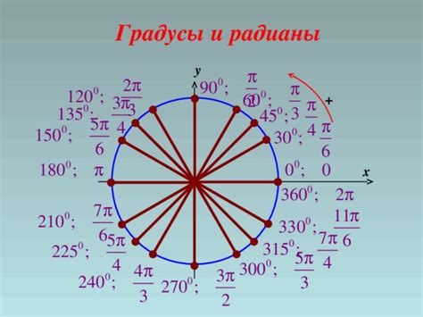 Углы и радианы: основные понятия