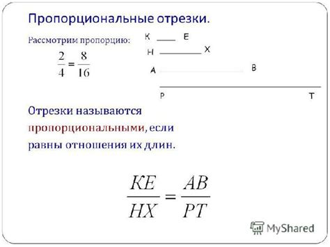 Углы пропорциональны: что это значит?