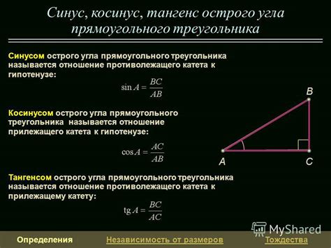 Углы треугольника: влияние на значение противолежащего катета