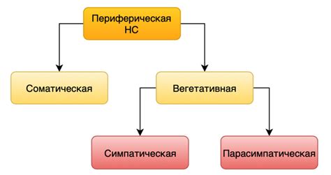 Угнетающее действие на нервную систему: определение и основные аспекты