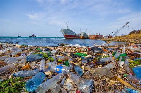 Угрозы для подводных экосистем: загрязнение океана и изменение климата