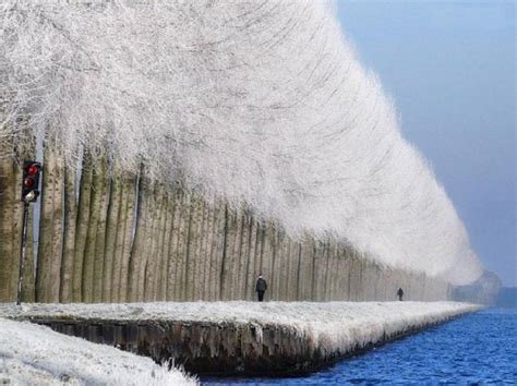 Удивительная красота зимнего пейзажа