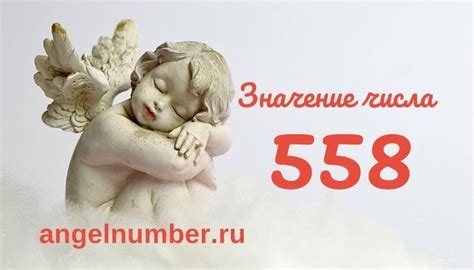 Удивительное значение цифры 558 в истории