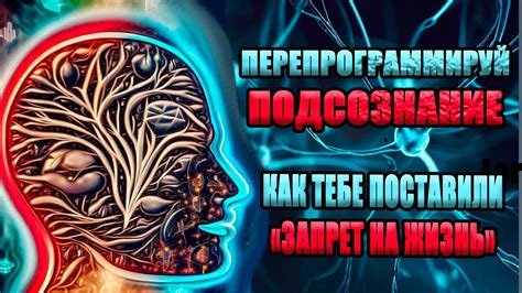 Указание на подсознательные эмоции: необычное сновидение о заполненном половодьем подвале