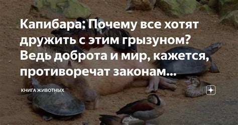 Указание на скрытые опасности или обман в сновидениях с покалеченным грызуном