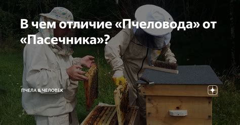 Указания от умелого пчеловода