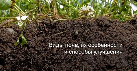 Улучшение вентиляции почвы