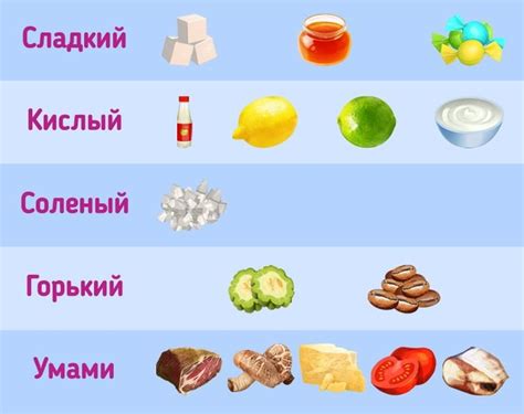 Умами как пятый вкусовой рецептор