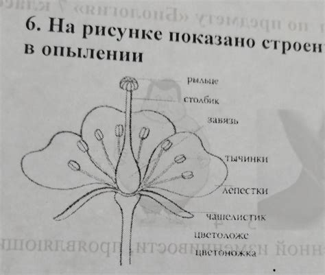 Уменьшение необходимости в опылении