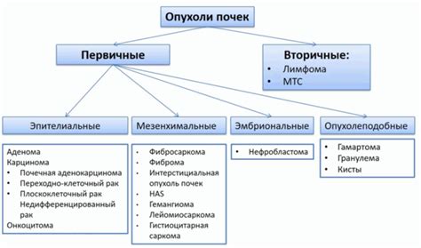 Уменьшение риска развития опухолей у кошек