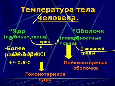 Умывание для регуляции температуры тела