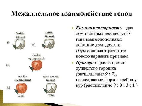 Унаследование доминантных генов и риск заболеваний