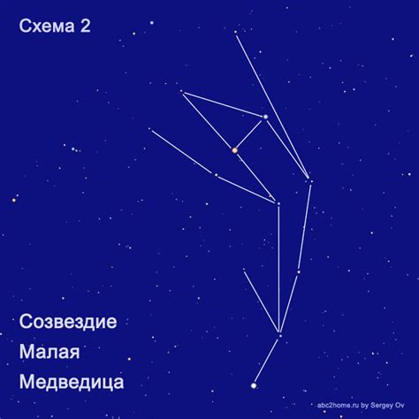 Универсальный символ: почему медведицы в снах олицетворяют защиту и заботу?