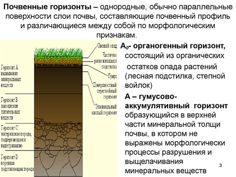 Уникальное значение влажной почвы в грядке